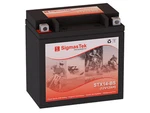 Harley-davidson 1130CC V-rod Vrsc, 2002-2006 Battery (replacement) (200CCA). Fixed Price $43.99.