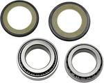 Balls Steering Head Stem Bearings Kit For Kawasaki KZ1000G Classic 77-81. Fixed Price $53.88.