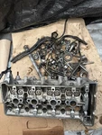 2005-2006 Honda CBR600RR Top End Cylinder Head And Bolts Misc Parts. Fixed Price $49.99.