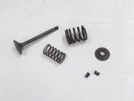 1979-1983 Honda Ascot Ft Xl Xr 500 Exhaust Engine Valve Spring Oem 14721-429-000. Fixed Price $39.99.