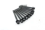 06-07 Honda CB1000R CBR1000RR Oem Engine Cylinder Head Bolts. Fixed Price $17.59.