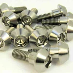 Yamaha Titanium Disc Bolt M6 X 20 Mm, Fits Many Models. Fixed Price $7.24.