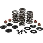 Kw Racing Exhaust Intake Valve Spring Kit Buell Lightning XB12S 04-08. Fixed Price $235.38.