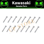 Kawasaki Genuine Oem Parts Police KZ1000 Hex Head Bolt 6X45 Set Of 16 New. Fixed Price $71.16.