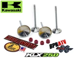 Kawasaki 250SF Kibblewhite Cylinder Head Intake Exhaust Valves Seals. Fixed Price $193.33.