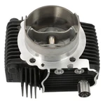Genuine Ducati Cylinder-piston ASS.HOR.D98-0/26 Dmh 12022761BB. Fixed Price $1490.92.