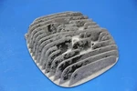 1978 76-78 RM250 Cylinder Head Top End Dome Engine Motor Cooling Fins Nice. Fixed Price $89.99.