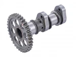 Ktm Genuine 79236009000 -. Fixed Price $206.44.