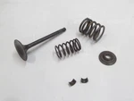 1979-1983 Honda Ascot Ft Xl Xr 500 Intake Engine Valve Spring Oem 14711-429-000. Fixed Price $39.99.