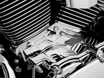 Kuryakyn Cylinder Base Side Cover Chrome #8143 Harley Davidson. Fixed Price $85.99.