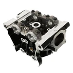 Genuine Ducati 2017-2020 Monster 1200 Complete Vertical Head 30124124AC. Fixed Price $3597.47.