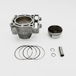 2008 Kawasaki - Oem Standard Bore Cylinder Jug W/ Piston Kit. Fixed Price $175.00.