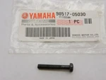 98517-05030 Nos Yamaha Pan Head Screw YS240TB EF2800 EF6600 BR250 YZ80J S220X. Fixed Price $5.99.