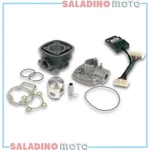 Thermal Group Cylinder Malossi 47 Aprilia Gilera Piaggio 50 2T Lc 3112044. Fixed Price $354.56.