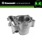 Kawasaki Genuine Engine Cylinder 11005-0660 New. Fixed Price $352.35.