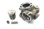 2019 Ktm 250 Xc-w Tpi Oem Genuine Top End Cylinder 55430038100. Fixed Price $675.00.