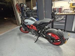 Rear Luggage Rack Rail Passenger For 2019-2024 Indian Ftr 1200 Black. Fixed Price $247.00.