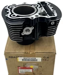 12110-MAH-000 Oem Honda Motorcycle Engine Rear Cylinder Asm. 1995-97 VT1100C. Fixed Price $859.99.