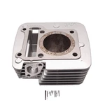 Yamaha Mayfit TTR125E TTR125LE Head Cylinder Nos. Fixed Price $99.50.