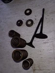 Suzuki Dr SP200 Cylinder Head Valves And Springs 86-88. Fixed Price $49.00.
