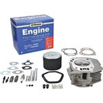 Cylinder Head Service Kit Replaces Honda 12200-ZF6-406 8" For 16" Stens 515-792. Fixed Price $133.49.