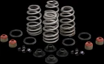 Kw Valve Spring Kit .660IN Lift Seal Ultra Classic Low 15-16. Fixed Price $223.07.