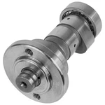 Camshaft W/ Bearings Fits Honda CRF230F 2003 2004 2005 2006 2019 14100-KPS-900. Fixed Price $42.00.