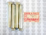 Kawasaki Nos New 92015-022 Nut 10MM (4) F4 F5 F9 F12MX F81M KX450 Big Horn. Fixed Price $54.99.