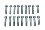 Indian Chief Aluminum Head Bolt Set For Harley-davidson. Fixed Price $79.99.