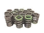 Kawasaki ZR1000 Z1000 ZX1000 Set Of 16 Cylinder Head Engine Valve Springs *. Fixed Price $49.99.