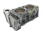 2016 Kawasaki Ninja 300 Oem Cylinder Jug 11005-0675 Engine. Fixed Price $80.99.