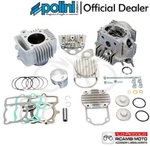 119.0094 Thermal Kit Polini XP4 50CC With Head 2V D.52 Stroke 41. Fixed Price $466.30.