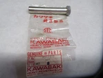 Kawasaki Nos New 92015-022 Nut 10MM F4 F5 F9 F12MX F81M KX450 Big Horn Bison. Fixed Price $9.40.