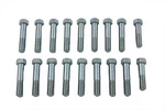 Indian Chief Aluminum Head Bolt Set For Harley Davidson By V-twin. Fixed Price $80.99.