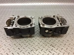 14-20 Harley Davidson Street Engine Cylinders Jug. Fixed Price $100.00.