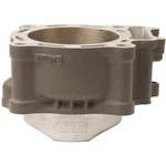 Cylinder Works - Stock Bore 30009. Fixed Price $421.16.