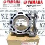 Yamaha Genuine YZ250F 2019-2024 Engine Cylinder B7B-11311-00-00 New. Fixed Price $305.33.