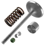 Intake Valve Kit For Suzuki 12911-31G00 12921-31G00 09289-05015 12932-24400. Fixed Price $32.99.