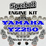 Engine Rebuild Kit For Yamaha Specbolt Nickel Wurks Ti Look. Fixed Price $56.99.