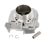 Genuine Ducati 2002 Vertical Cylinder-piston Fit Monster 750 12020401B. Fixed Price $1426.42.
