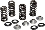 Kibblewhite Lightweight Racing Valve Spring Kit With Titanium Retainers 80-81400. Fixed Price $189.12.