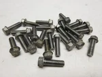 2007 Kawasaki Vulcan Cylinder Head Cover Bolts. Fixed Price $12.30.