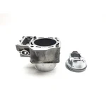 Kawasaki 2009 Teryx KRF750LA Fi Engine Cylinder Jug Piston Rear 3447. Fixed Price $56.44.