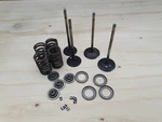 Husqvarna / 650 Strada Terra Cylinder Head Valves Assy Oem Genuine. Fixed Price $75.90.