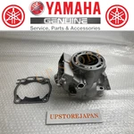 Yamaha Genuine Cylinder 5UP-11311-21 5UP-11351-00 Set YZ250 2003-2021. Fixed Price $374.69.