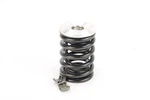 1998 Ktm 620 Sx Valve Spring Intake Exhaust 9681. Fixed Price $24.99.