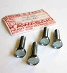 Nos Kawasaki Number 7 Bolts 6X22MM Z1 H1 G1 G2 W1 W2 KH500 KH400 KH250. Fixed Price $14.99.