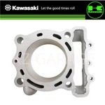 Kawasaki Genuine KX250F KX252AHF Engine Motor Cylinder Bore Jug 11005-0711 New. Fixed Price $316.71.