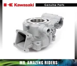 Kawasaki Oem Part 11005-0748 Cylinder-engine 2022-2023. Fixed Price $477.47.