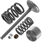 Exhaust Valve Kit For Suzuki 12912-29F00 12920-29F00 12932-24F00 12891-02F10. Fixed Price $32.99.